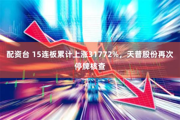 配资台 15连板累计上涨31772%，天普股份再次停牌核查
