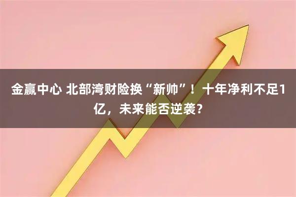 金赢中心 北部湾财险换“新帅”！十年净利不足1亿，未来能否逆袭？