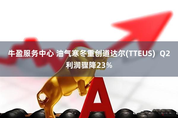 牛盈服务中心 油气寒冬重创道达尔(TTEUS)  Q2利润骤降23%