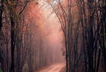 科创板开户准入的条件股票:股票方面的资讯哪个app好-一则传闻引爆市场！机器人板块逆市崛起 究竟发生了什么？